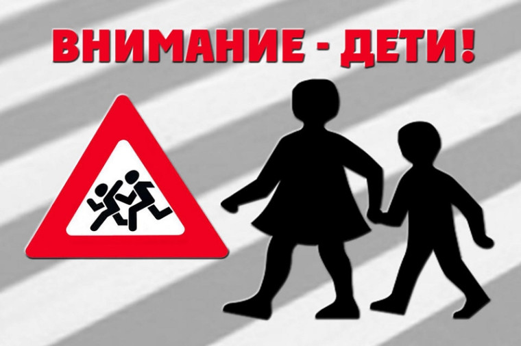 Анализ аварийности с участием детей и подростков на территории Алтайского края, Зональном районе за 8 месяцев 2022 года.